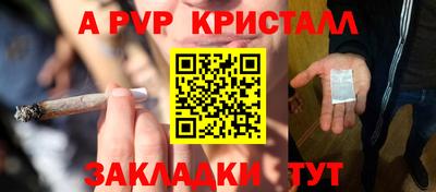 прущие грибы Пугачёв